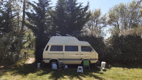 ARMANDONE – VW T3 Joker Westphalia. Dream comes true'!!!