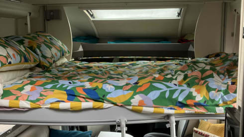 Bumble –  4 Berth Ford Chausson Welcome 