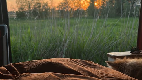 4p Volkswagen bus from 1998