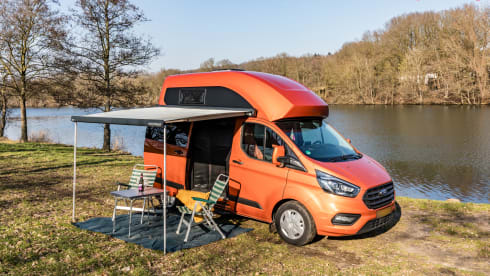 klein maar dapper  – 2 Ford bus nugget from 2019