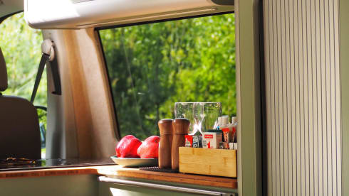 Willow – Willow Luxury VW campervan with everything included 