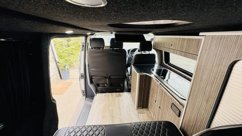Goatomobile 3 – VW Campervan T5