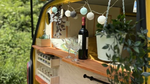 Pippin – VW T5 Postbus 