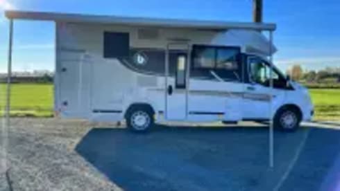 Chihuahua on the road – 2p Benimar semi-integrated from 2022