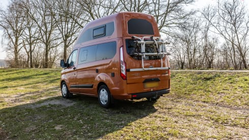 klein maar dapper  – 2 Ford bus nugget from 2019