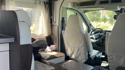 4p Benimar semi-integrated from 2020