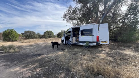 Connie2 – Just a lovely place to be.