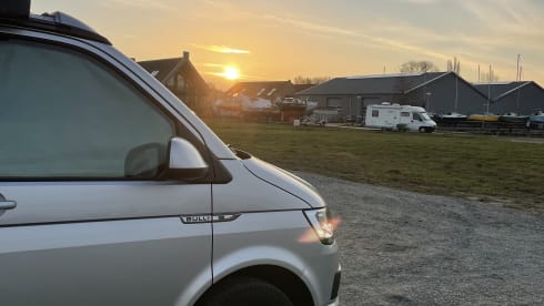 Bulli – Original VW California Ocean T6 auto. Euro6