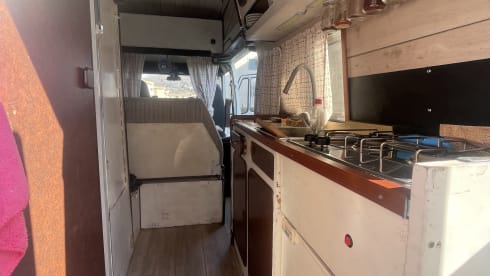 La Boheme – Explore the City with Our Classic T1 James Cook Van