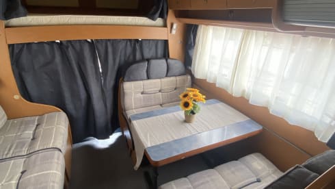 Annamaria  – Camper Laika con climatizzatore in cellula e portamoto