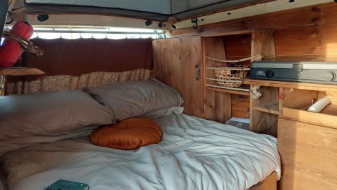 Amerai il nostro bel camper Volkswagen insieme al tuo cane o gatto!