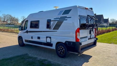 Witte Vlegel – Mclouis Menfys Matic 