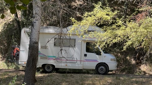 White Lotus – 5p Fiat alcove from 1999
