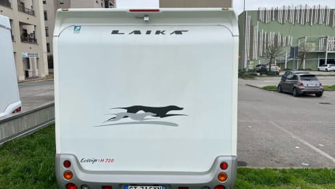 BIRILLO – LAIKA ECOVIP H720 