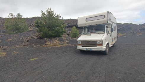 Fiat Ducato Burstner  – Travel with our Danpsy '80s!