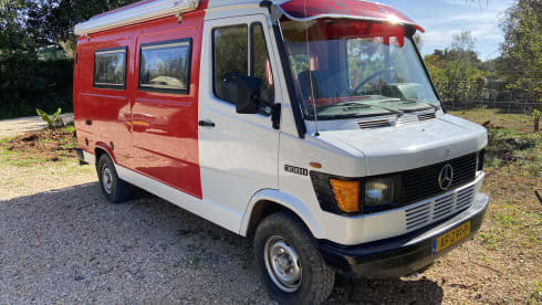 Charlie – Mercedes Charlie 308D