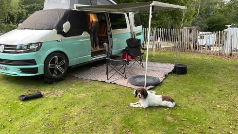 Tallulah – New Conversion 2019 Long Wheel Base 4 berth VW campervan 