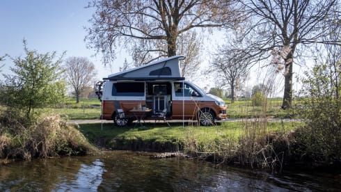 Bertus – 4p Volkswagen campervan from 2018
