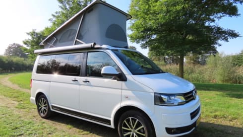Buzz – VW California Comfort Line (T5)