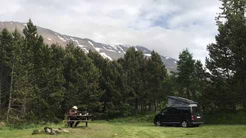 Volkswagen California Ocean