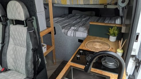 Autobus Fiat a 4 posti letto del 2015