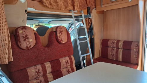Kempie – Fine Chausson Ford - 2009 - 6 belts
