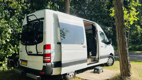 Cozy 2p Mercedes-Benz bus from 2008