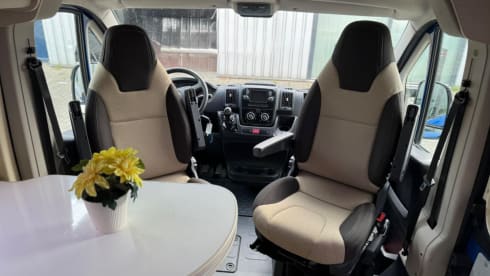 Rijnmondse smurf – 3p Challenger bus uit 2020