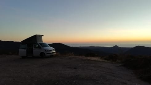 VW T6 California Coast