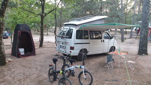 Rino il campeRino – Volkswagen T4 westfalia california