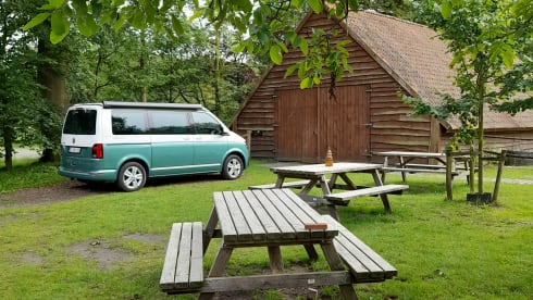 Kampie – Volkswagen California Ocean automatique