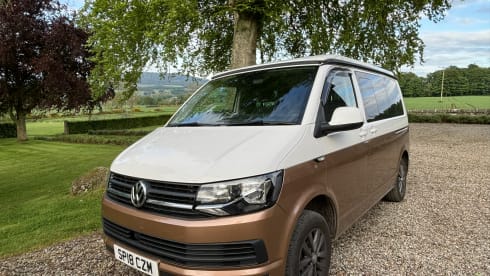 Goldie – Explore with Goldie - Up to 6 Berth VW T6 Campervan