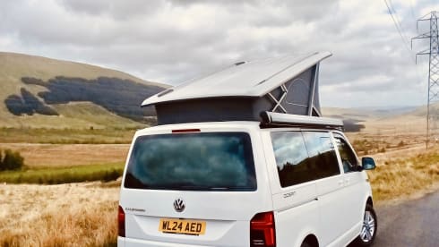 Bettie – VW California Ocean | Freedom & Comfort on Wheels!