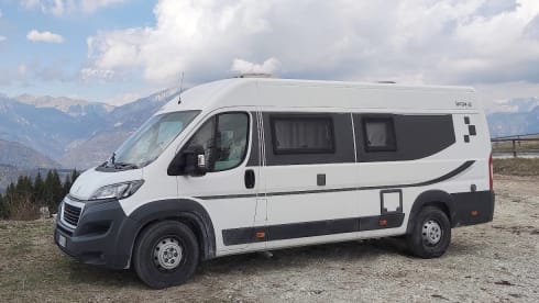 Swan – Nuovo Bravia 636 Swan