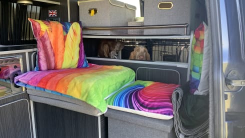 Shiloh  – 2 berth Volkswagen campervan from 2012