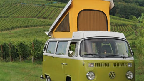 Sanseveria – Volkswagen T2b Westfalia Berlin '77