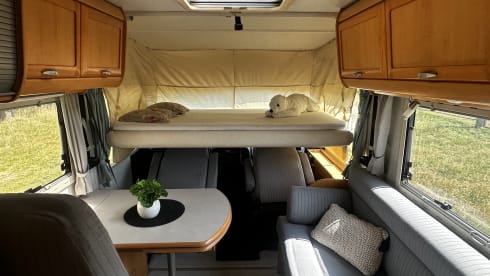 3p Hymer integrated from 2003