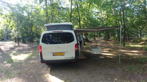 Zonnegeel – 3 person Mercedes-Benz bus from 2017