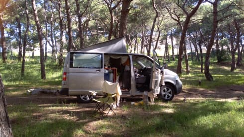 Towanda – 2p Volkswagen bus from 2003