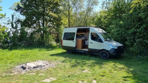 Sol – 2p Mercedes-Benz bus from 2019