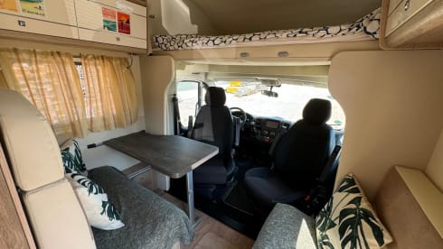 Campedi – Citroen Camper Van