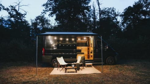 3p Peugeot bus from 2017