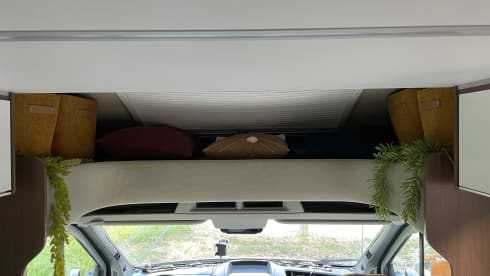 4p Roller Team semi-integrated from 2018