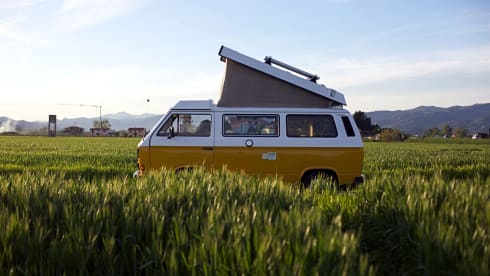 FRANCO - Vw T3 Westphalia