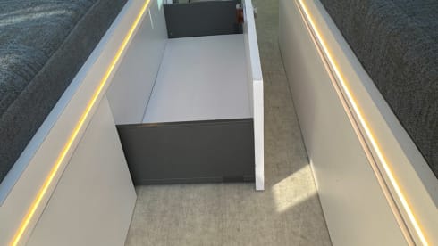 4p Other bus from 2019