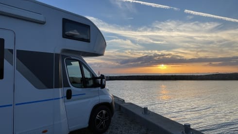 Sunny Ente – Sunny Ente is looking forward to loving, clean tenants