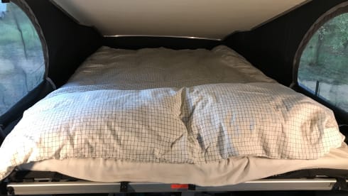 WOLF TRAIL – FORD NUGGET PLUS TRAIL 2022, economical and full option