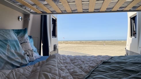 Luna – 4p Chausson bus uit 2021