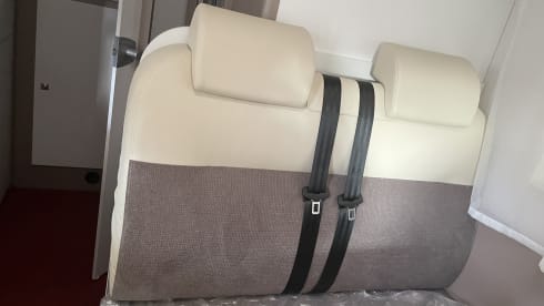 blucamp –  blucamp ocean 650