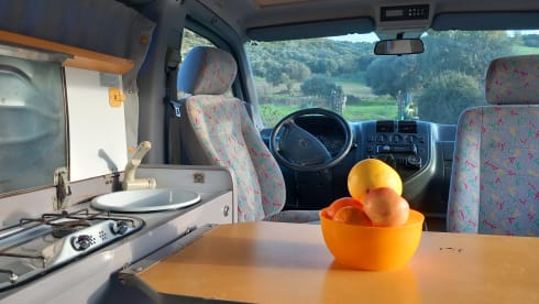 VANTASTIK RENTAL CAMPERVAN – MERCEDES MARCO POLO - VANTASTIK RENTAL CAMPER